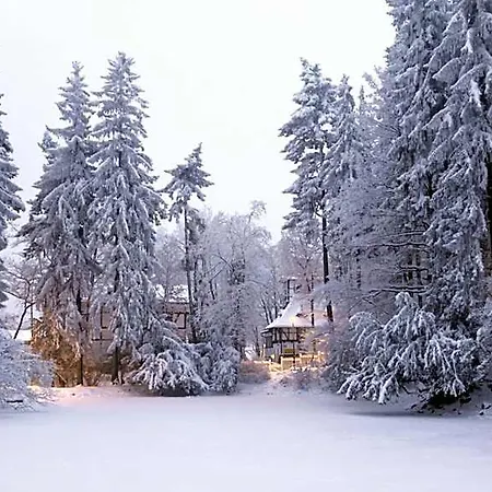 Camelot 3* Szczawno-Zdroj